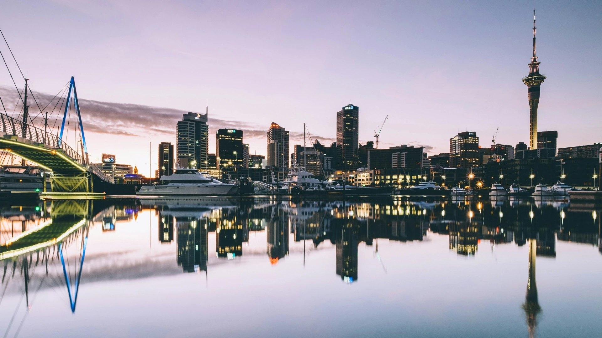 New Zealand Banner 1