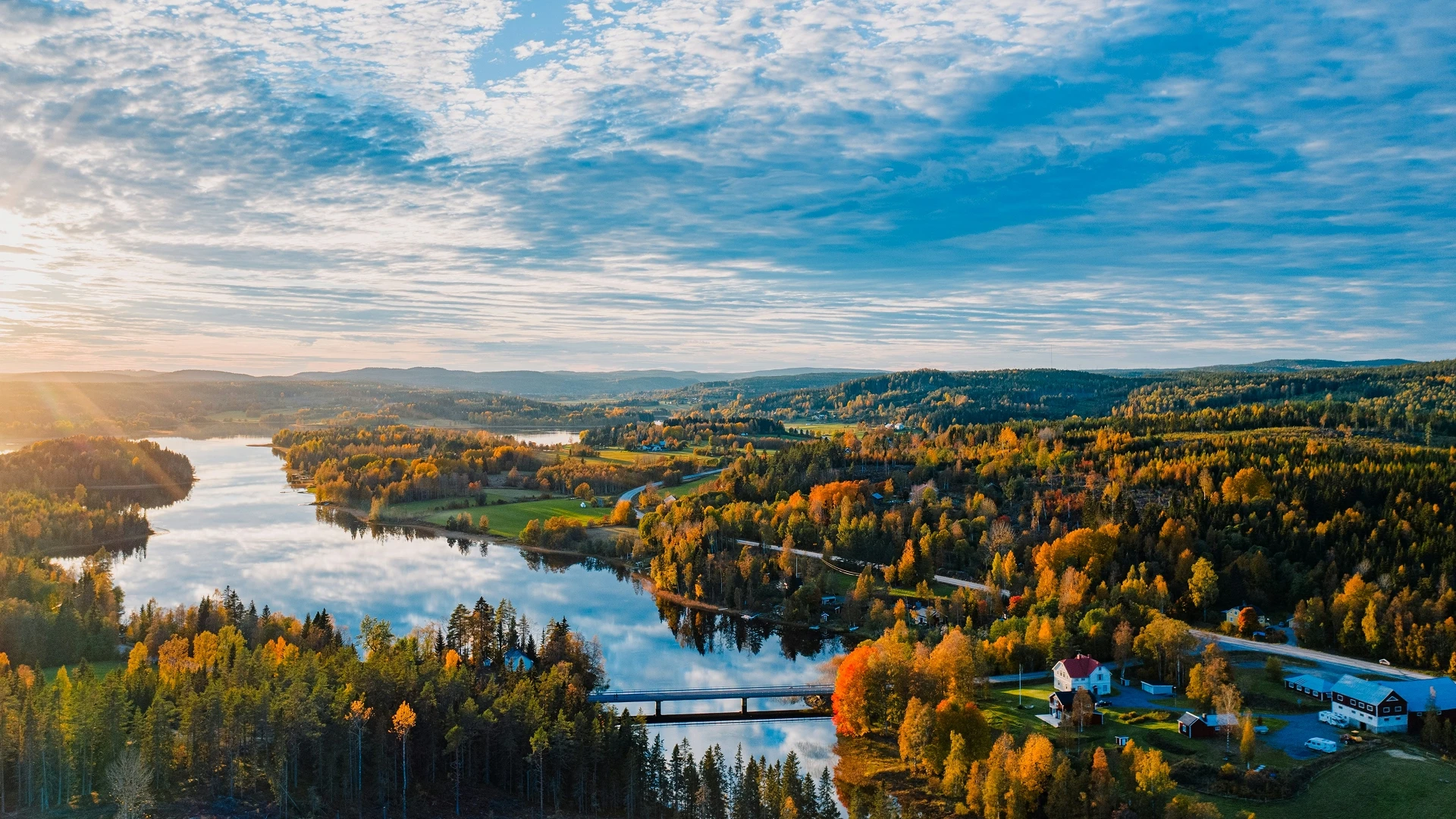 Sweden Banner 2