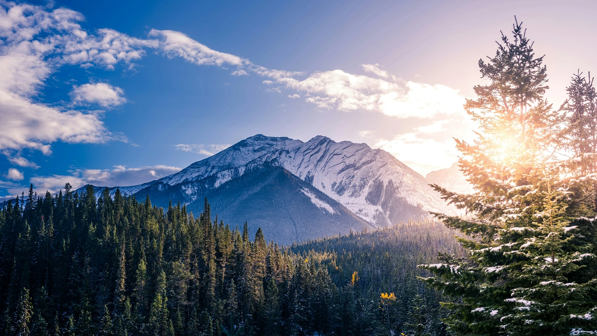 Canada Banner 2