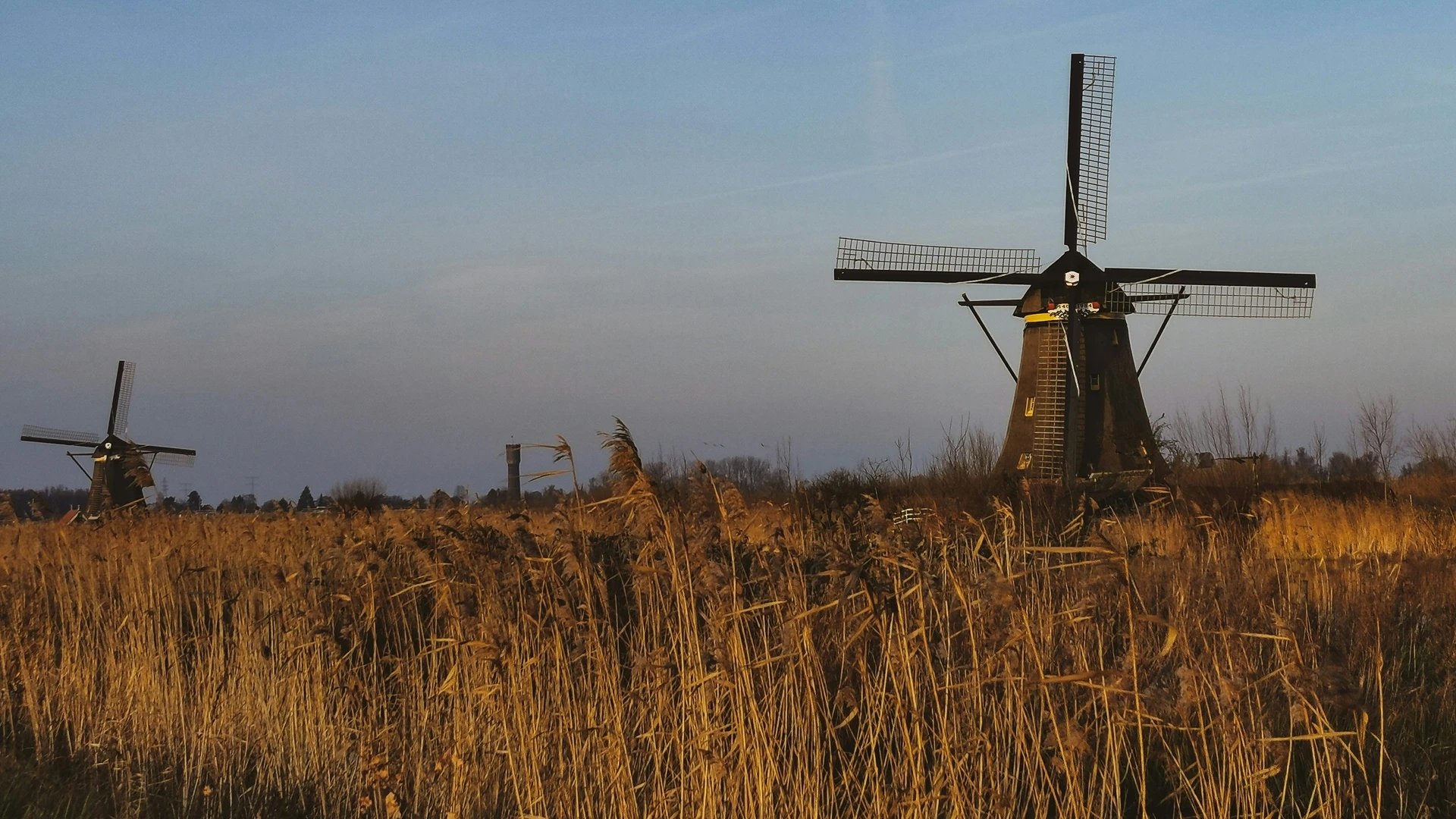 The Netherlands Banner 1
