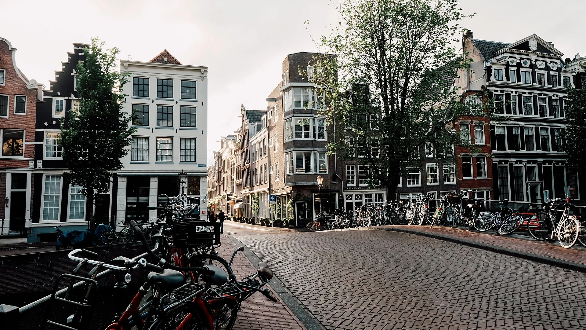 The Netherlands Banner 2